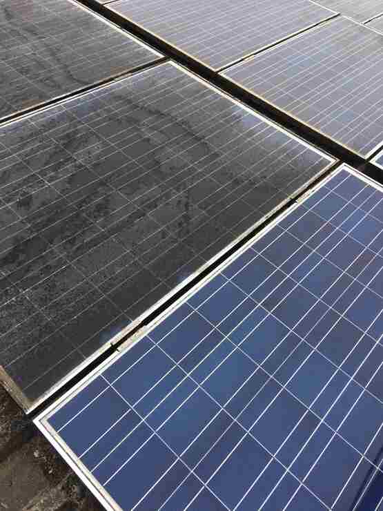 Frank Galley startet Photovoltaik- und Solarreinigung